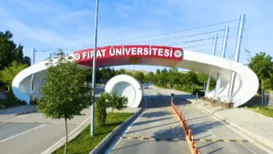 EMEĞE VE LİYAKATE SAYGI